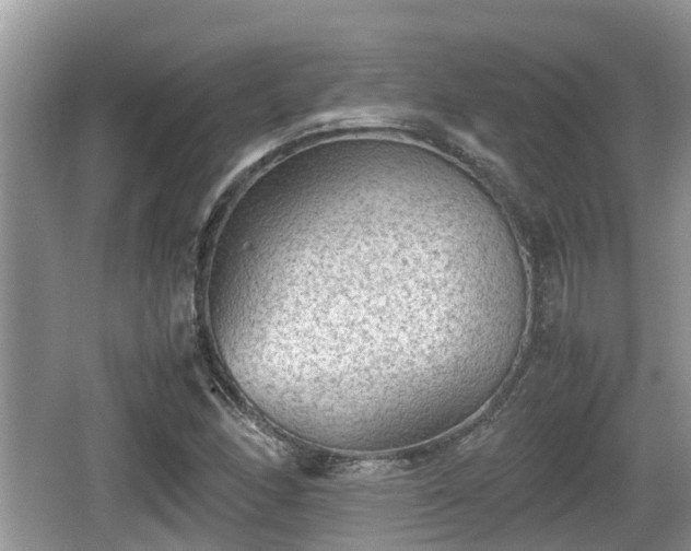 X0000062131166200512121208