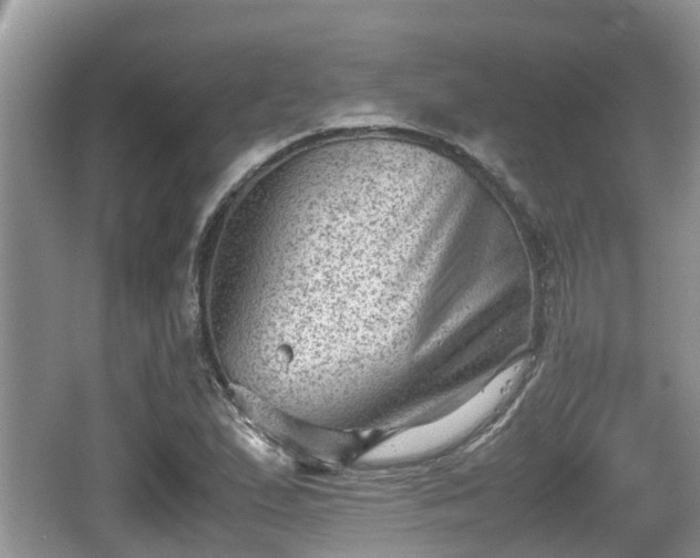 X0000062131167200512121208