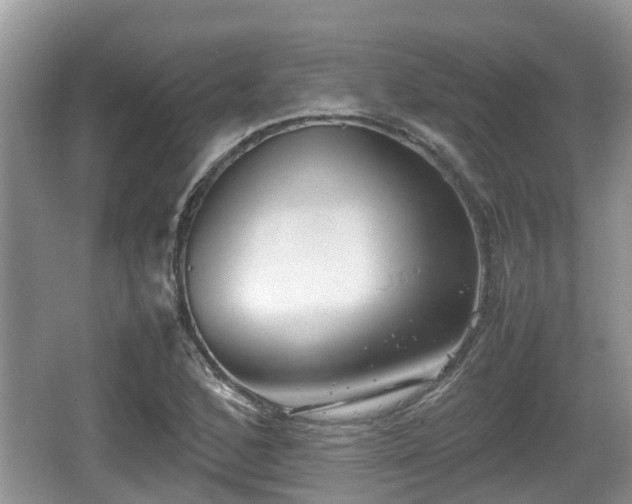 X0000062131168200512121208