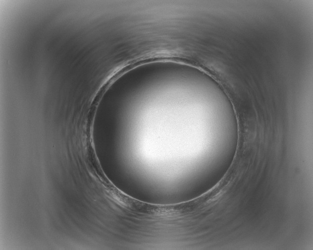 X0000062131170200512121208