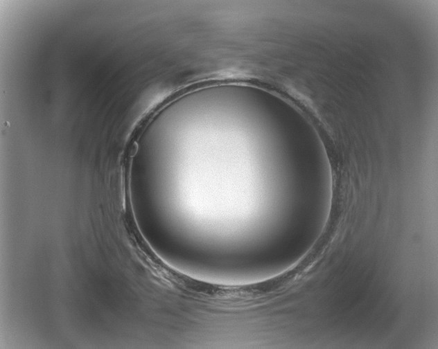 X0000062131171200512121208