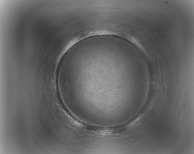 X0000062131173200512121208