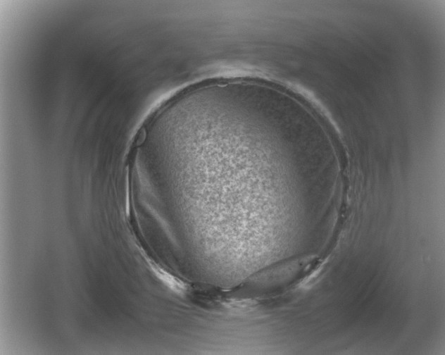 X0000062131175200512121208