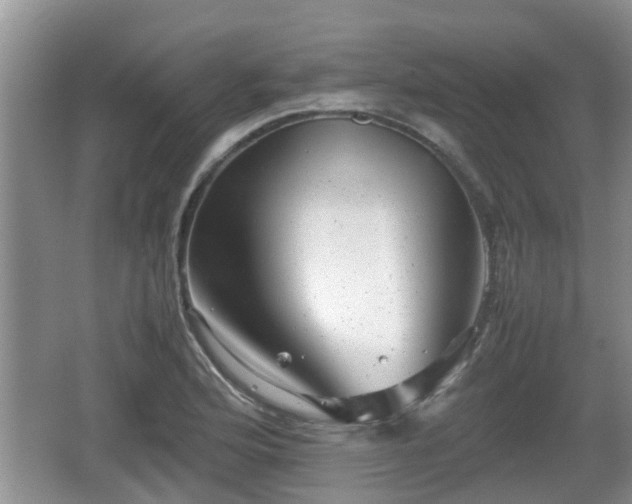 X0000062131176200512121208