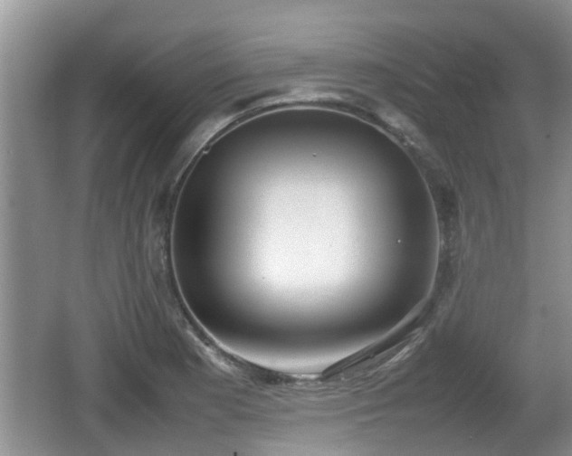 X0000062131177200512121208