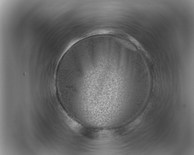 X0000062131178200512121207