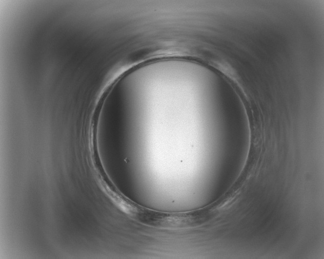 X0000062131179200512121207