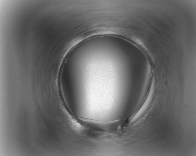 X0000062131181200512121207