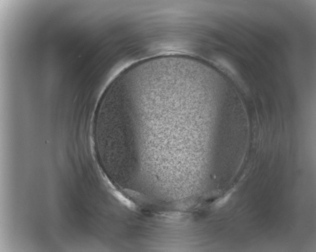 X0000062131182200512121207