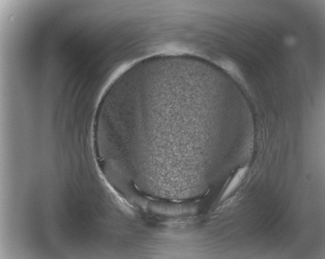 X0000062131183200512121207