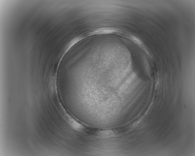 X0000062131186200512121207