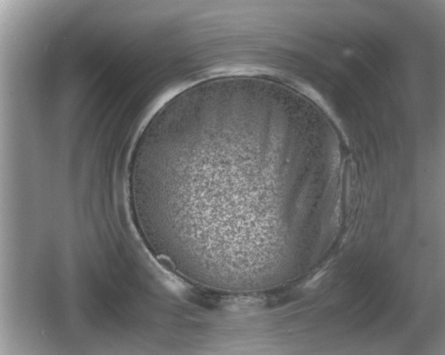 X0000062131187200512121207