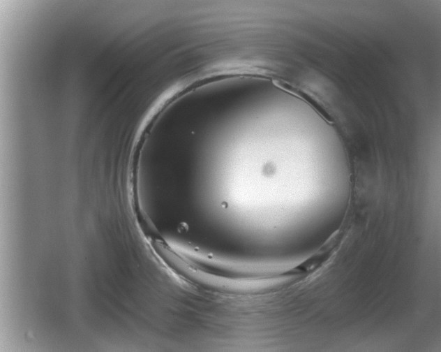 X0000062131188200512121207