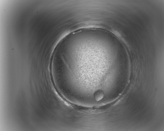 X0000062131189200512121207