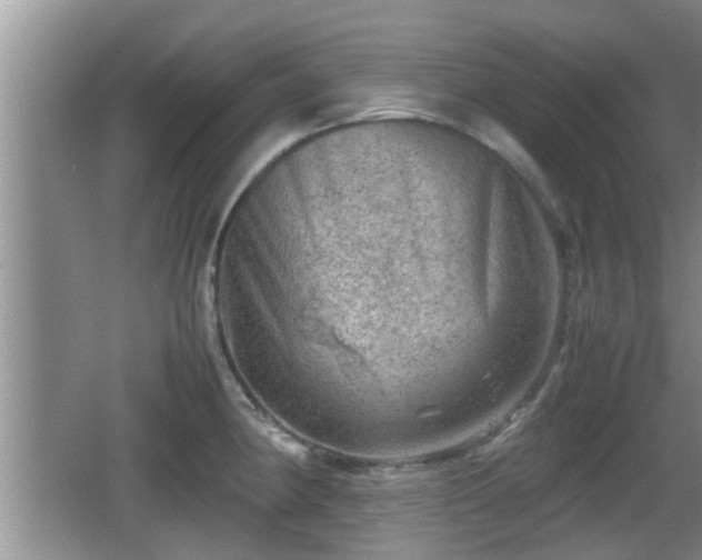 X0000062131190200512121207