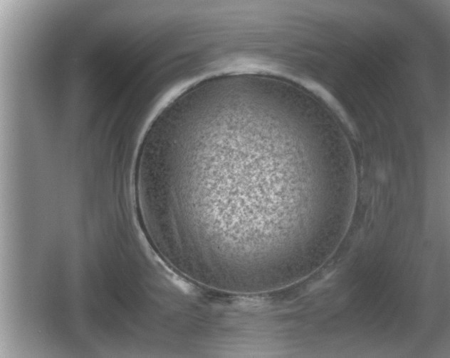 X0000062131191200512121207