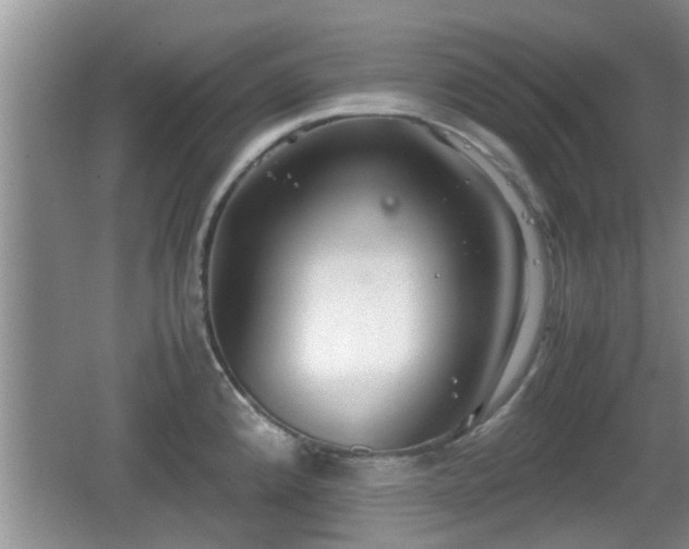 X0000062131192200512121207