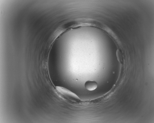 X0000062131193200512121207