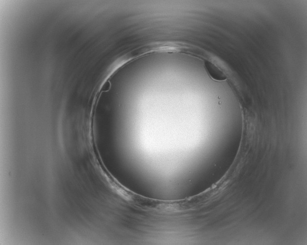 X0000062131194200512121207