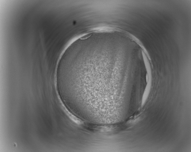 X0000062131195200512121207