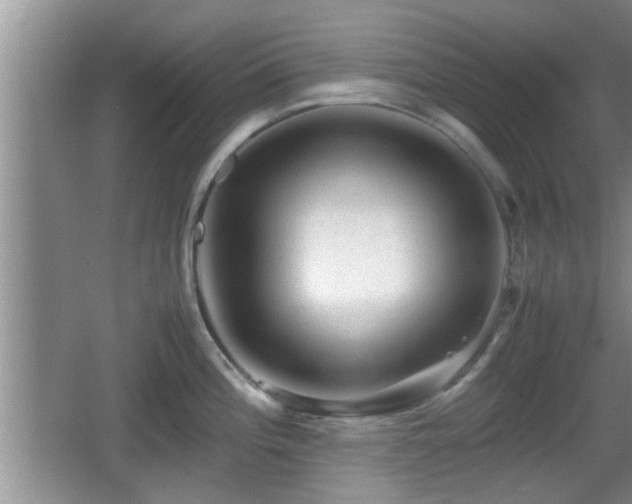 X0000062131196200512121207