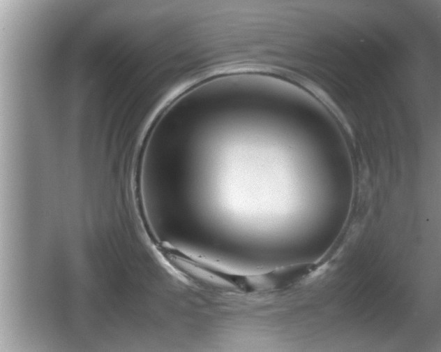 X0000062131197200512121207