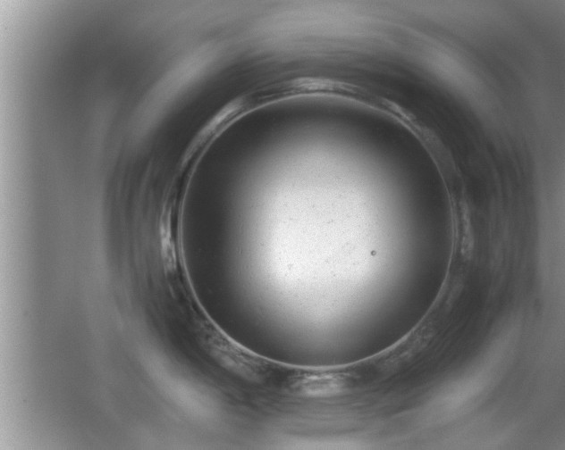 X0000062131198200512121207