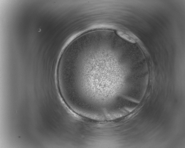 X0000062131199200512121207