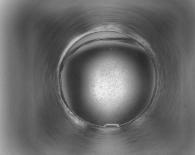 X0000062131200200512121207