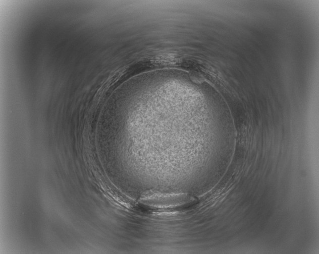 X0000062131201200512121206