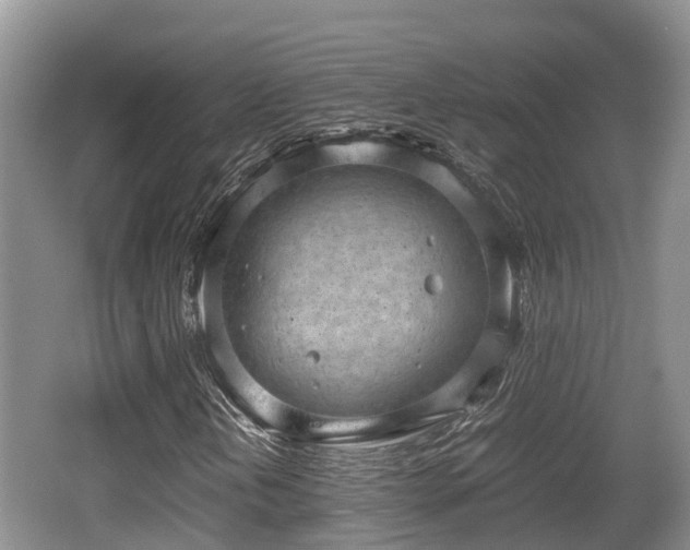 X0000062131202200512121206