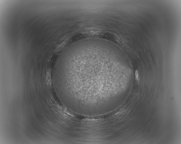 X0000062131203200512121206