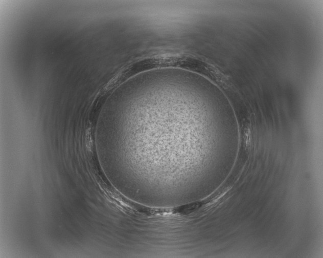 X0000062131204200512121206