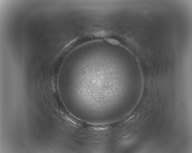 X0000062131205200512121206