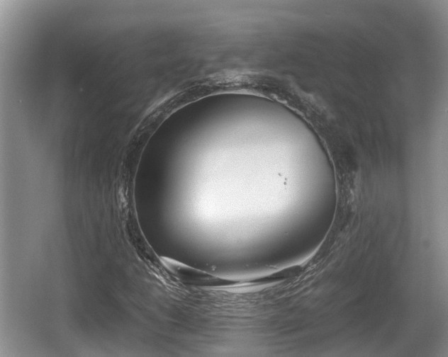 X0000062131206200512121206