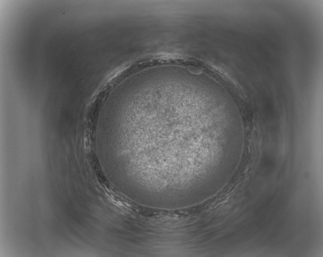 X0000062131207200512121206