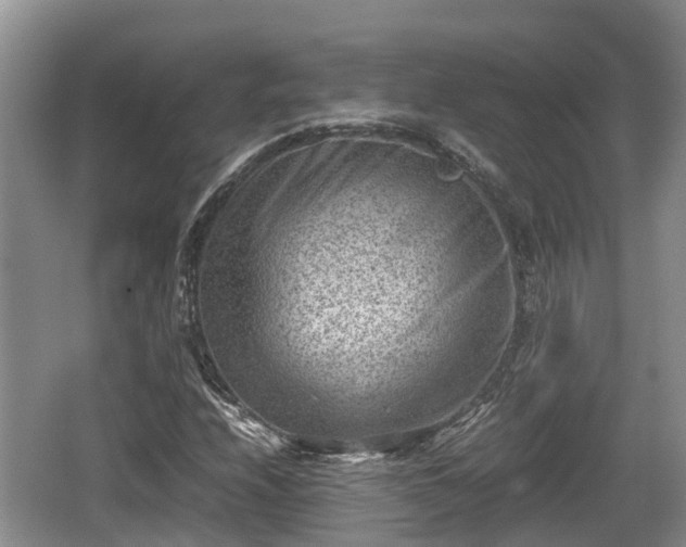 X0000062131208200512121206