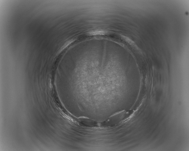 X0000062131209200512121206