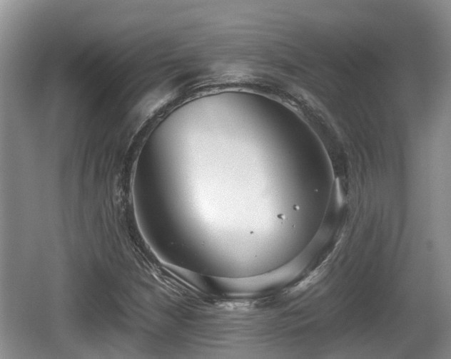 X0000062131210200512121206