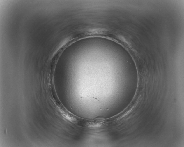 X0000062131211200512121206