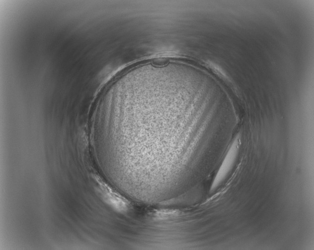 X0000062131212200512121206