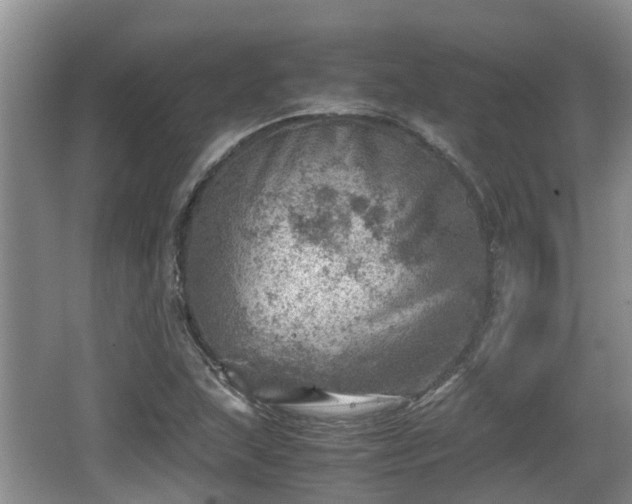 X0000062131215200512121207