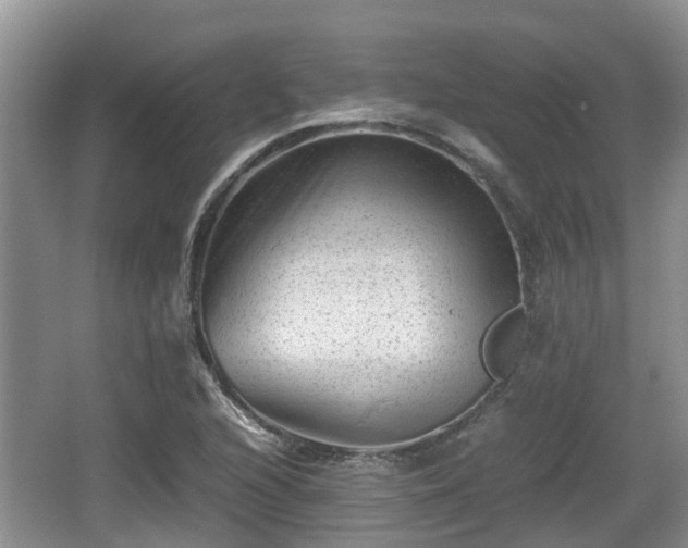 X0000062131216200512121207