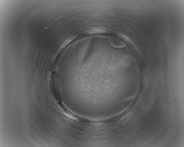 X0000062131217200512121207