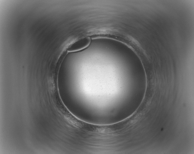 X0000062131218200512121207