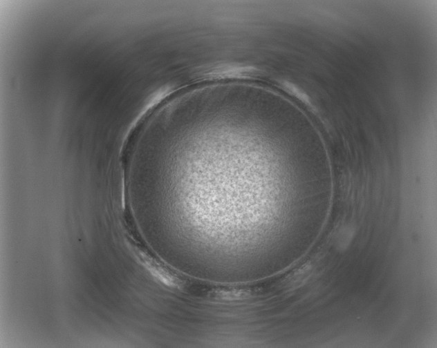 X0000062131219200512121207