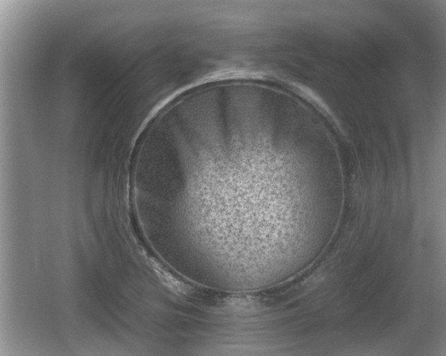 X0000062131220200512121207