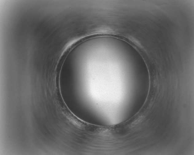 X0000062131222200512121207