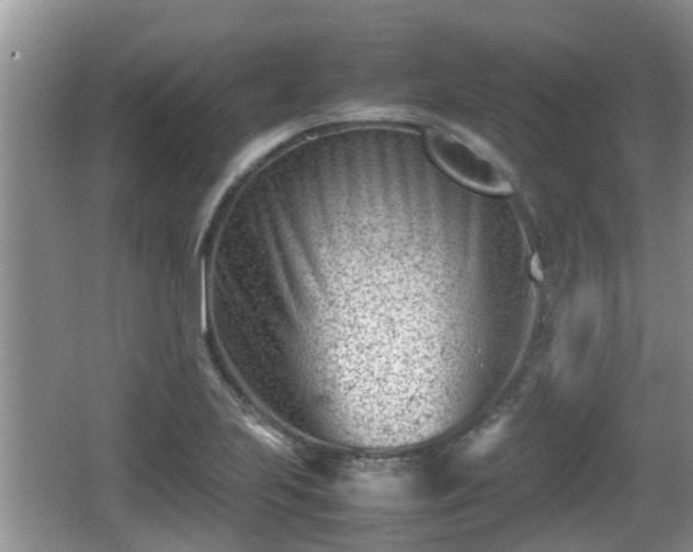 X0000062131223200512121207