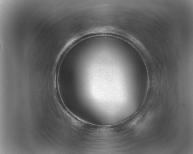 X0000062131224200512121207